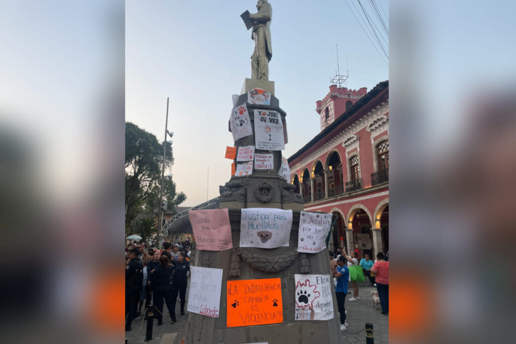 Marcha justicia para Huellitas en Huauchinango