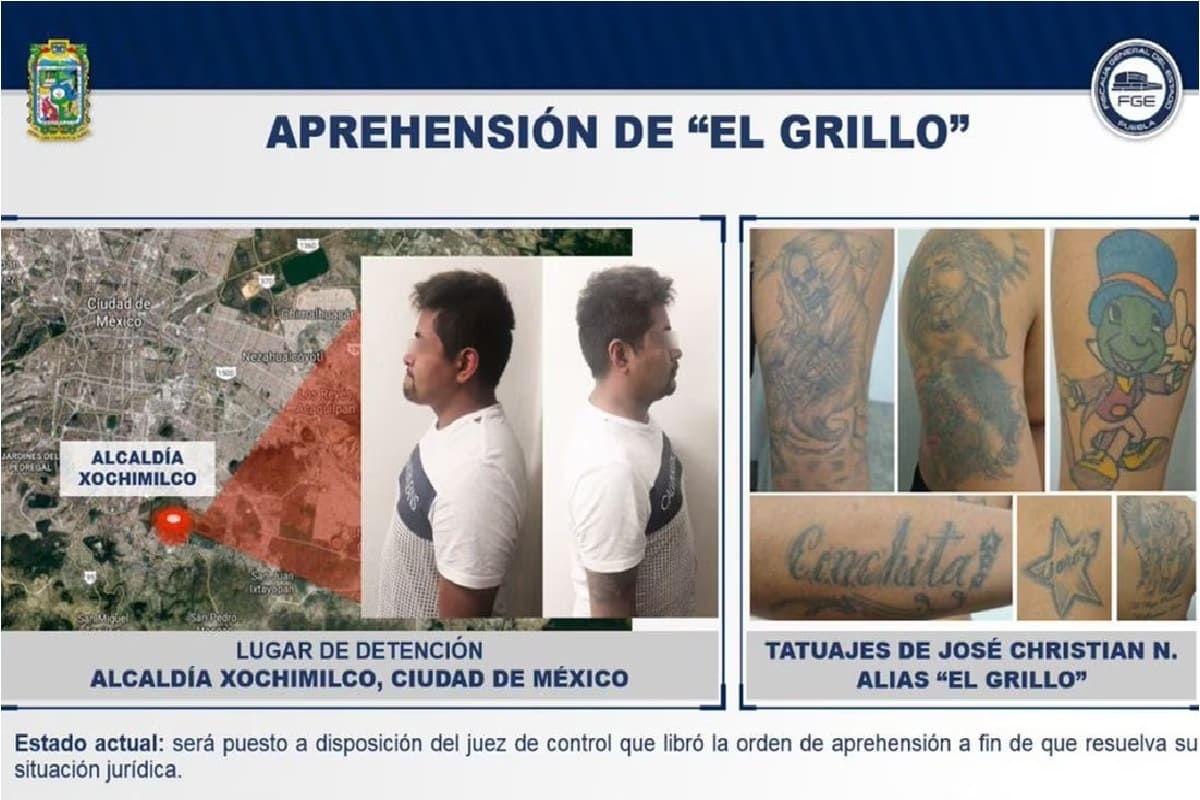 No han notificado muerte de El grillo