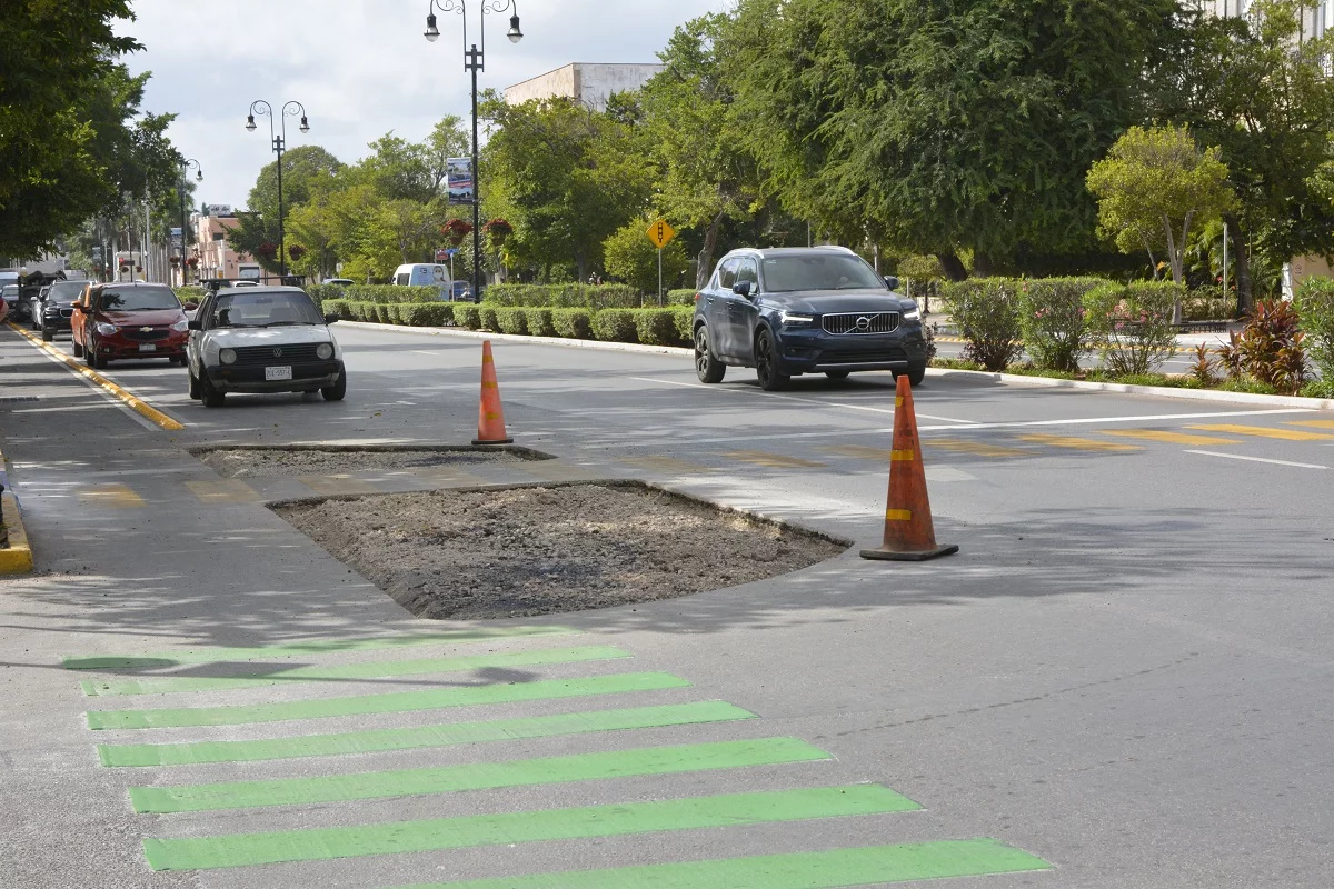 INAH aprueba plantación de árboles en bahías del Centro Histórico 3 orejas viajes