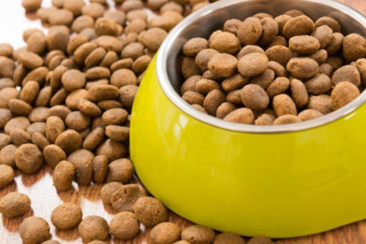 Peores marcas de croquetas según Profeco