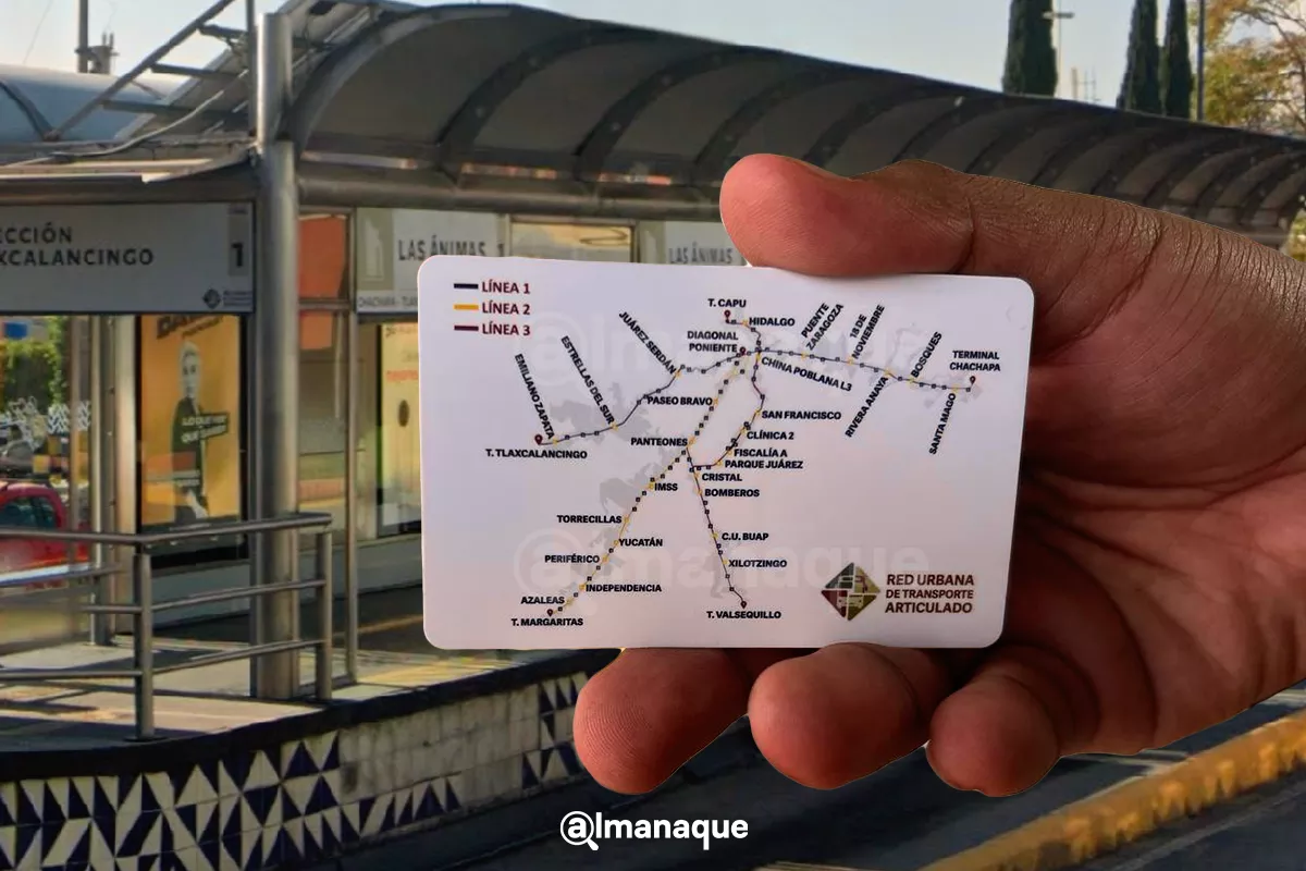 FOTOS: así son las nuevas tarjetas de RUTA 8 portada tarjeta metrobus puebla 2023