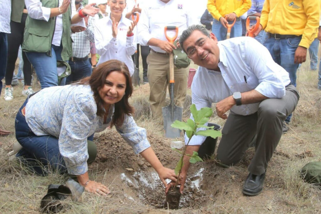 reforestacion flor del bosque 1