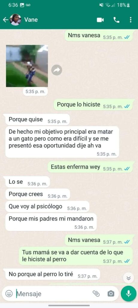 vanessa mata a perro en huauchinango 1