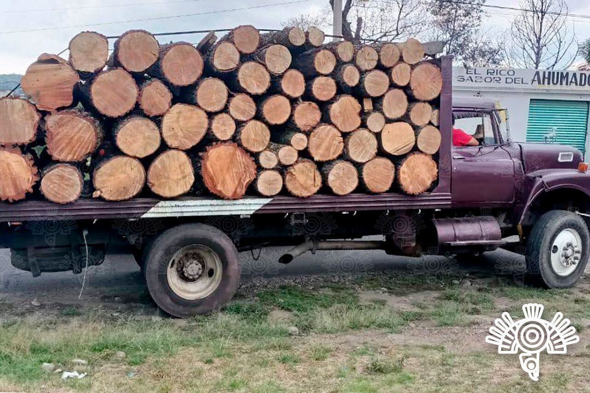 Recupera Policía Estatal media centena de troncos de madera en San Salvador El Verde 4 07043956 7eb0 4015 95c2 f4403f9c68ef 1
