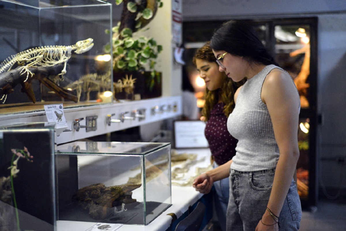 La BUAP es sede del Segundo Festival Mexicano de las Serpientes 1 A CsBiologicas 6