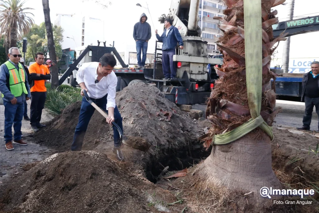Eduardo Rivera Programa de Reforestacion de Palmeras 5