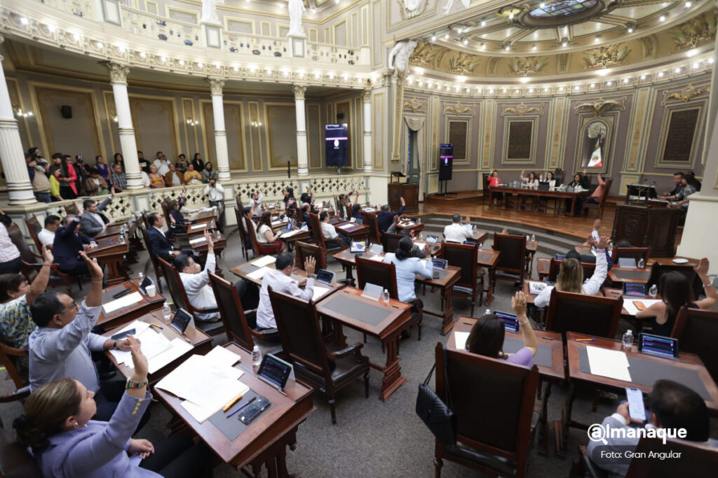 Declaran constitucionalidad de ley que impide a violentadores ser candidatos y servidores; reducen edad para ser diputado
