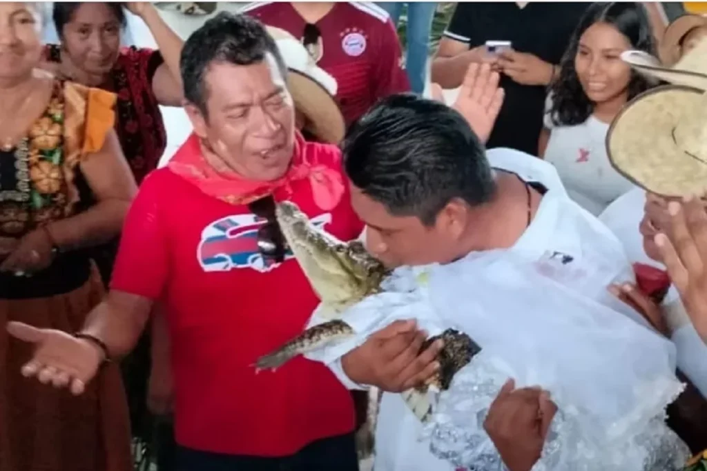 boda caiman y alcalde de San Pedro Huamelula