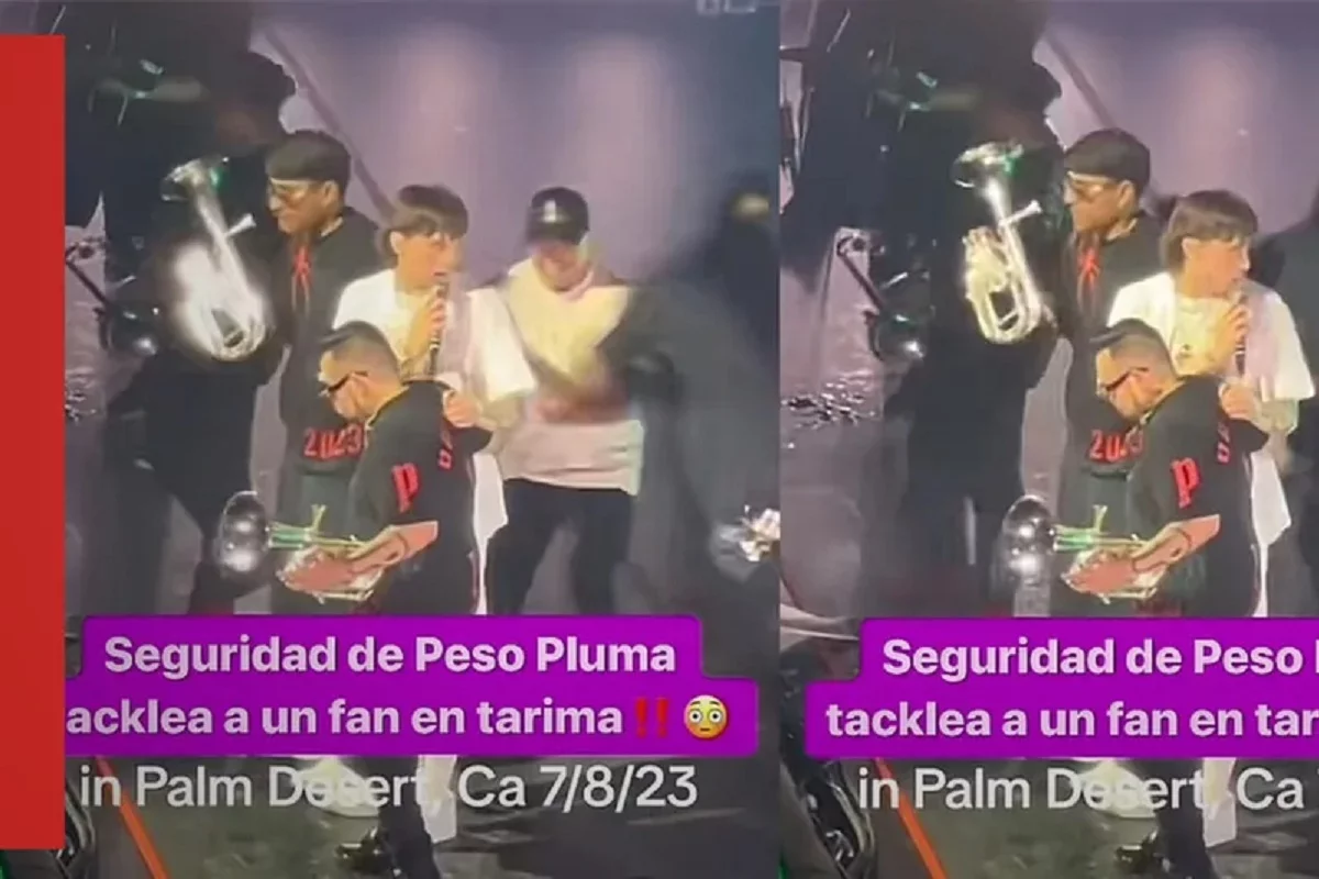 fanatico peso pluma golpeado guardia 2