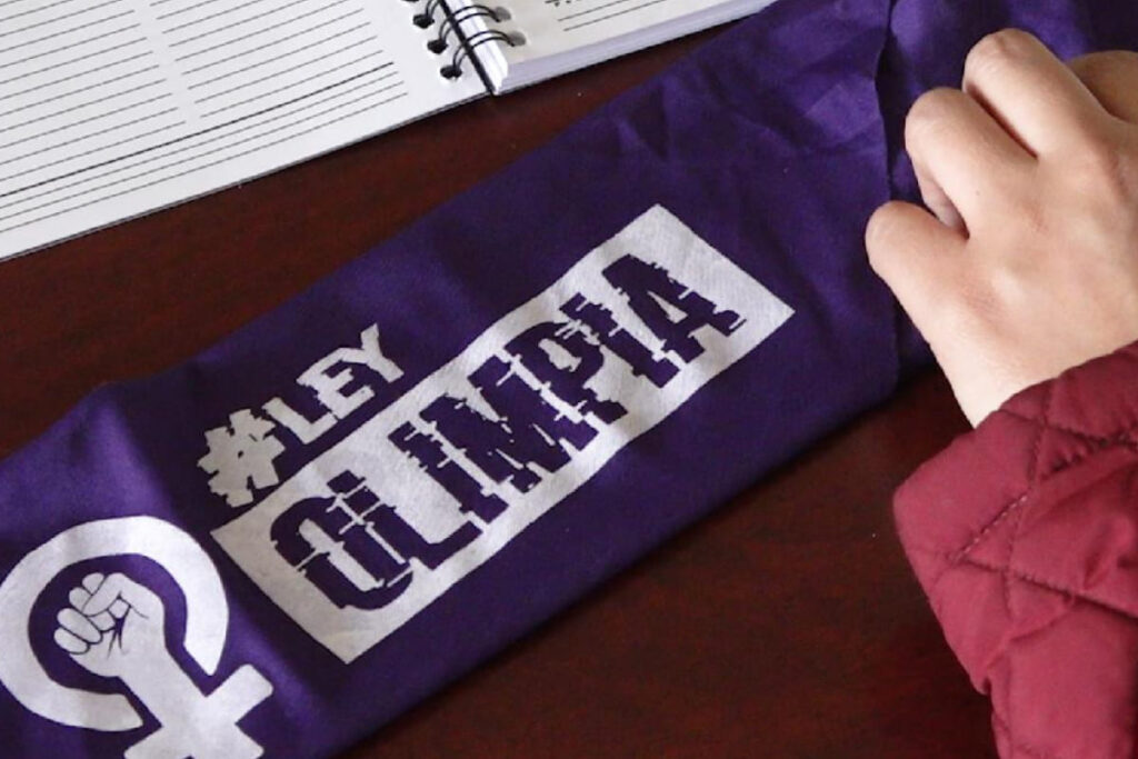 Ley Olimpia en Argentina