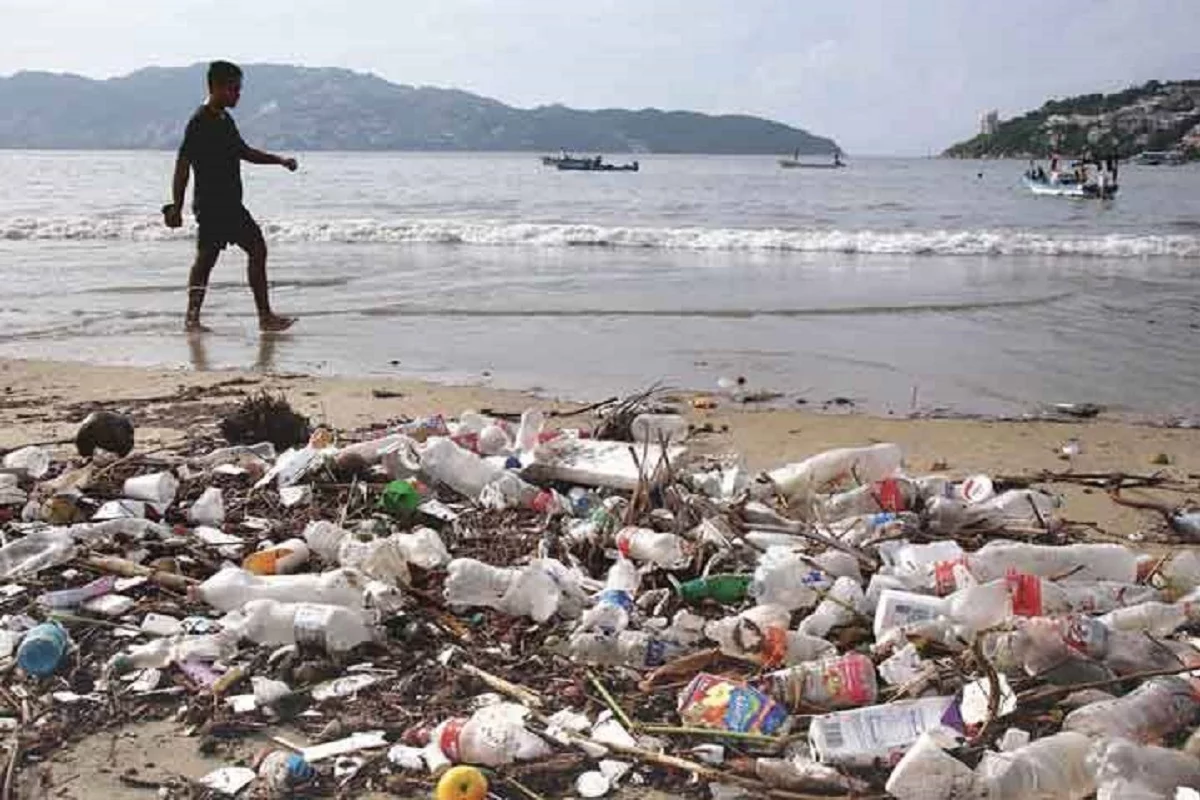 Cofepris detecta 14 playas en México no aptas para uso recreativo por exceso de bacterias 1 playa contaminada