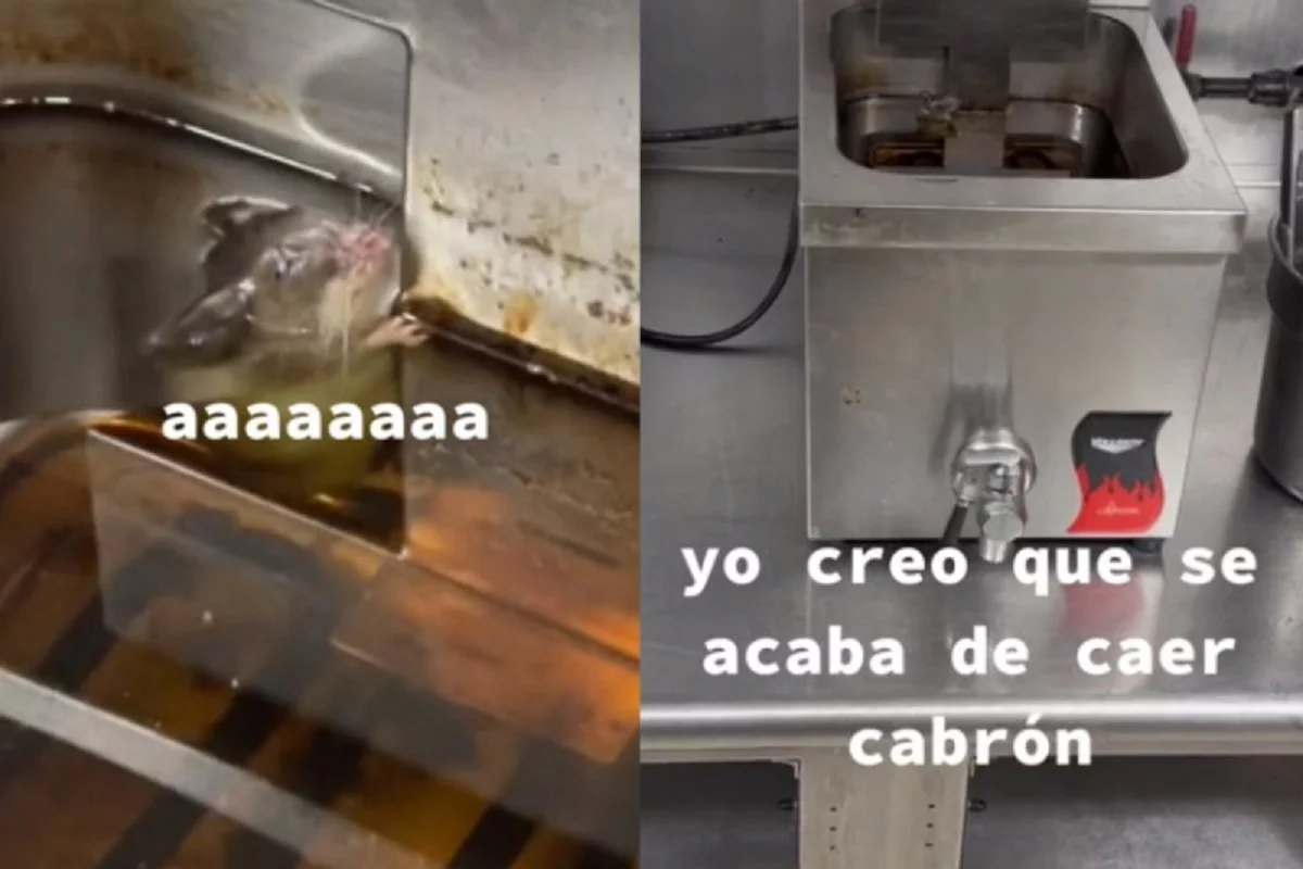 VIDEO: Empleado encuentra una rata en la freidora y su reacción se viraliza 3 rata en la freidora