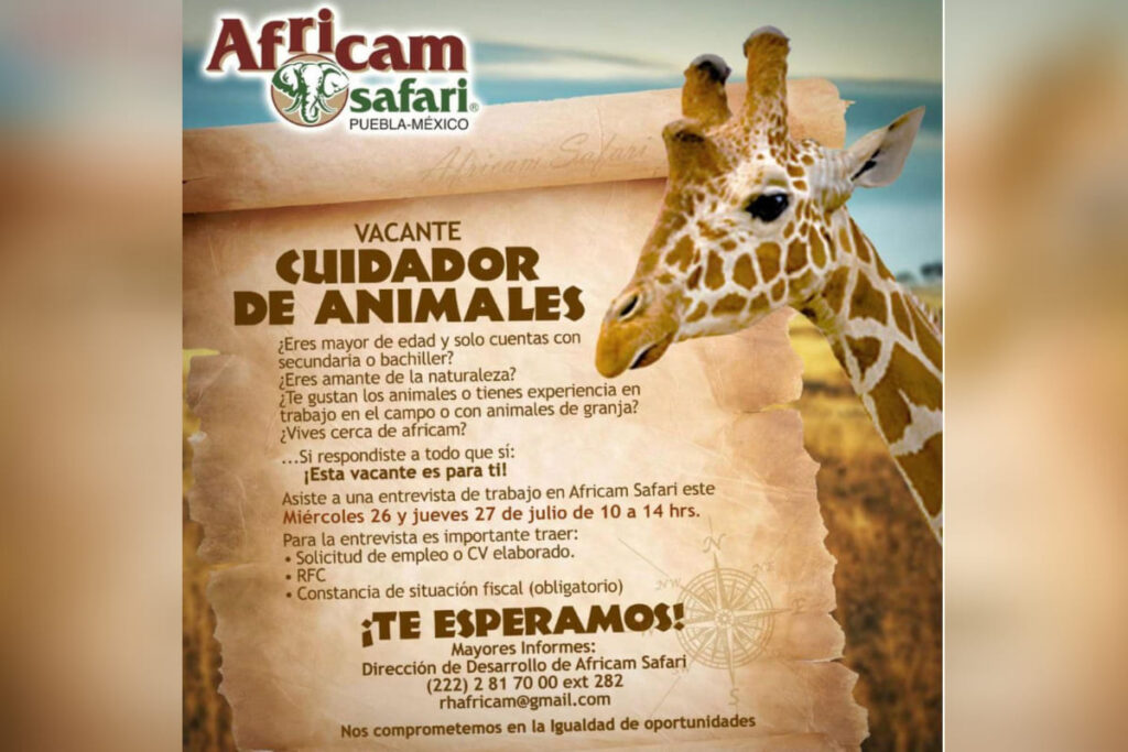 vacante cuidador de animales africam
