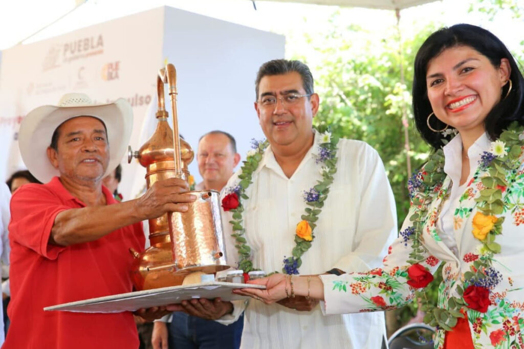 Impulso al Agave Mezcalero Chiautla 1