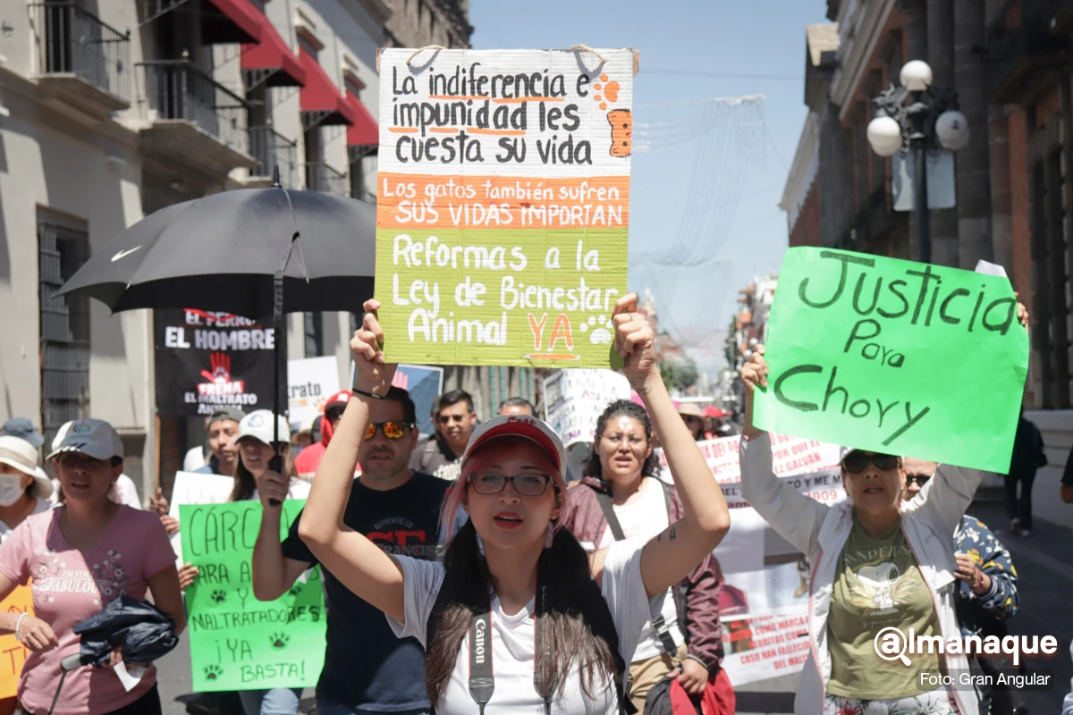 Exigen a Smadsot castigar casos de crueldad animal en Puebla 4 Exigen a Smadsot castigar casos de crueldad animal en Puebla