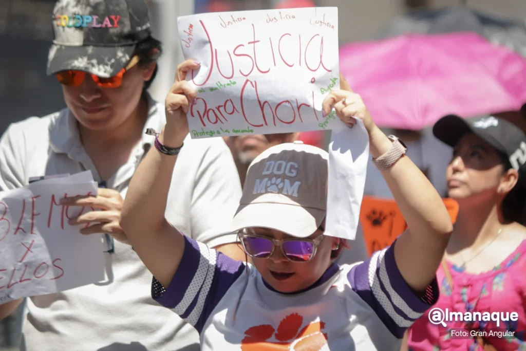 Movimiento Animalista marcha en Puebla 7