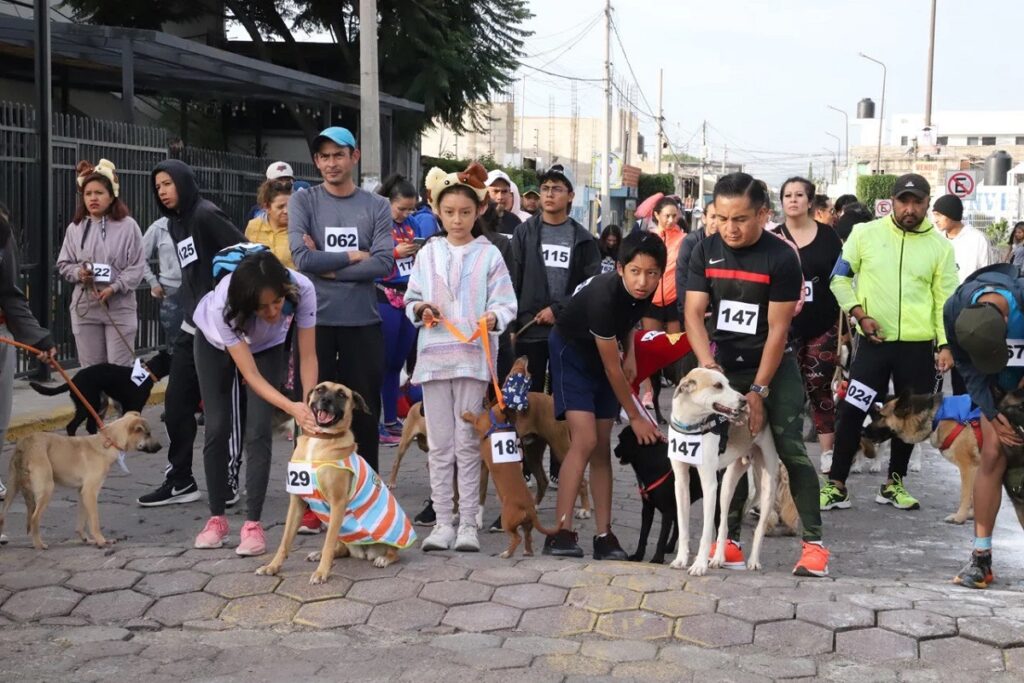 WhatsApp Image 2023 08 20 at 3.05.06 PM