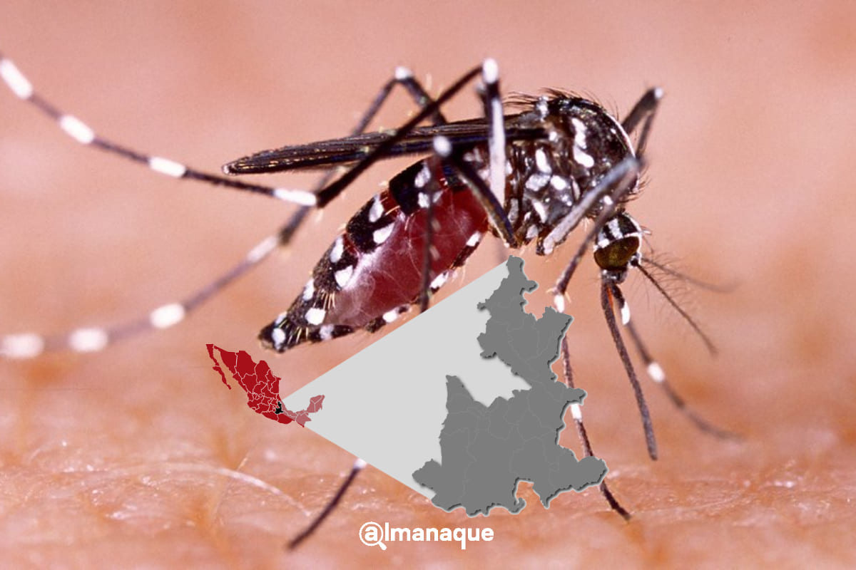 Crecen 32% casos de dengue en Puebla en dos semanas 4 Aumentan casos de Dengue en Puebla