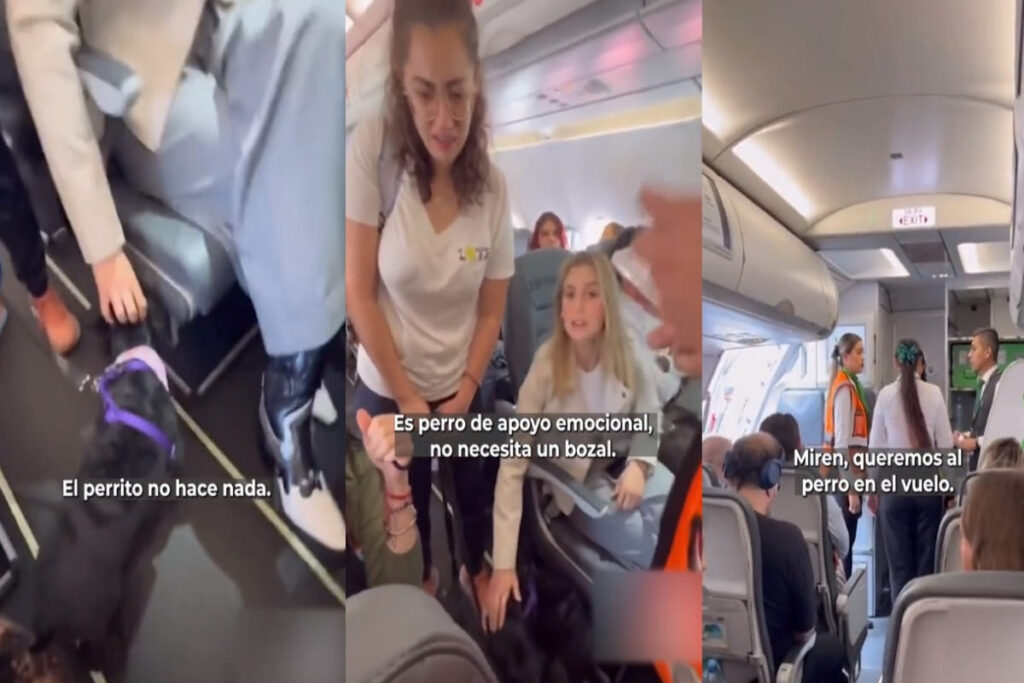 Bajan de Viva Aerobús a mujer que viajaba con perro de apoyo emocional