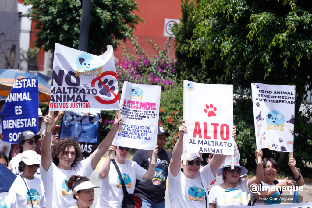 convocan a Marcha contra la crueldad animal en Puebla