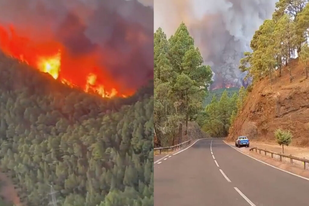 Incendio forestal Tenerife