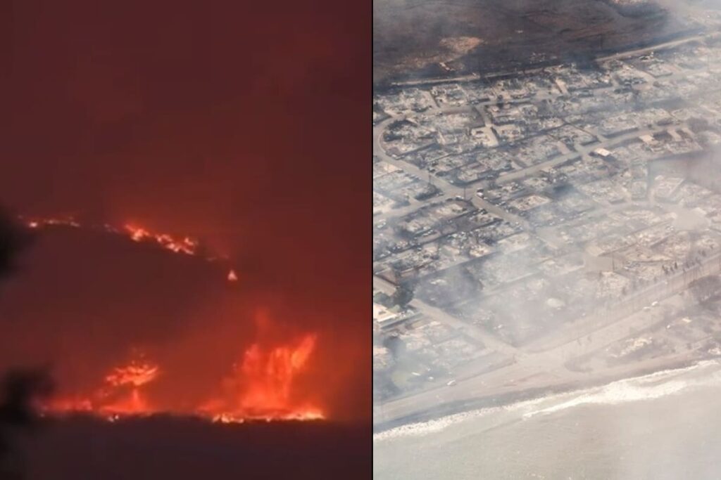 Incendio forestal en Tenerife arrasa mil 800 hectáreas y continúa sin control 5 Incendio forestal Hawái