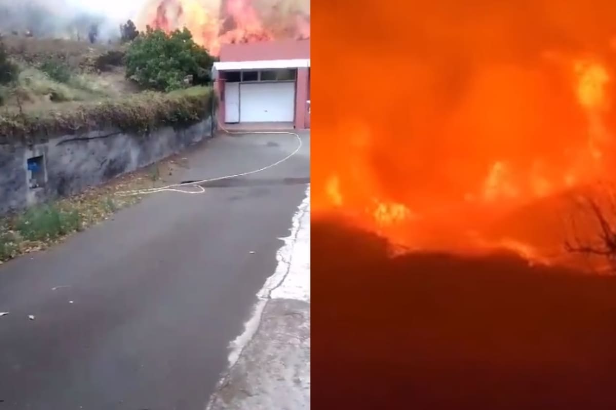Declaran 'zona catastrófica' en Tenerife tras incendio forestal 3 Incendio Tenerife