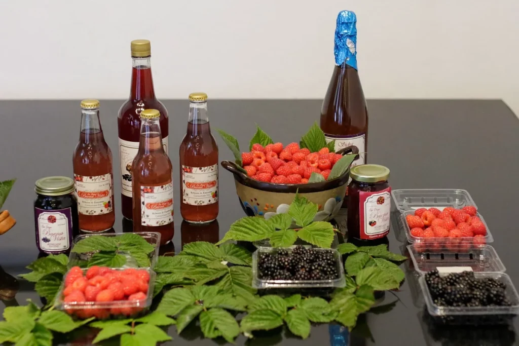 la Feria de las Berries 1