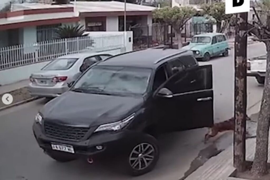 VIDEO: Perro causa que camioneta choque en Córdoba, Argentina