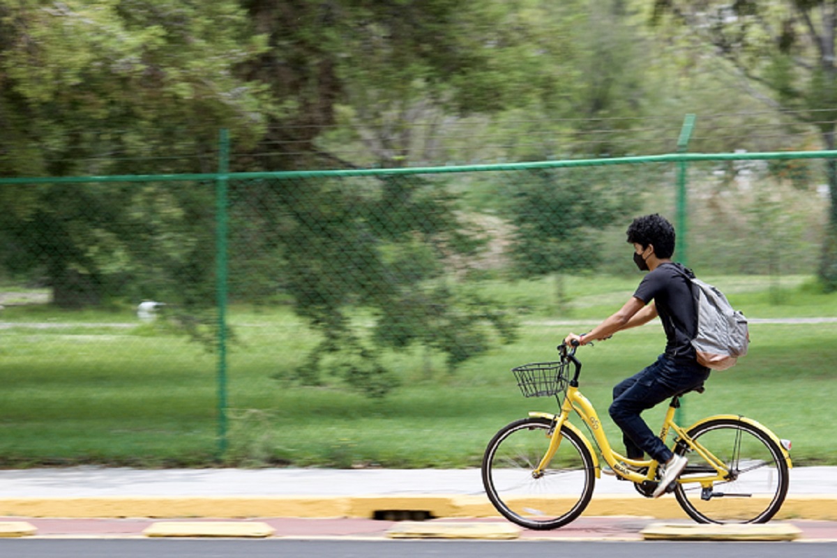 El Sistema de Transporte Universitario y Lobobici, una opción de movilidad económica y sustentable 1 A BUAP 87