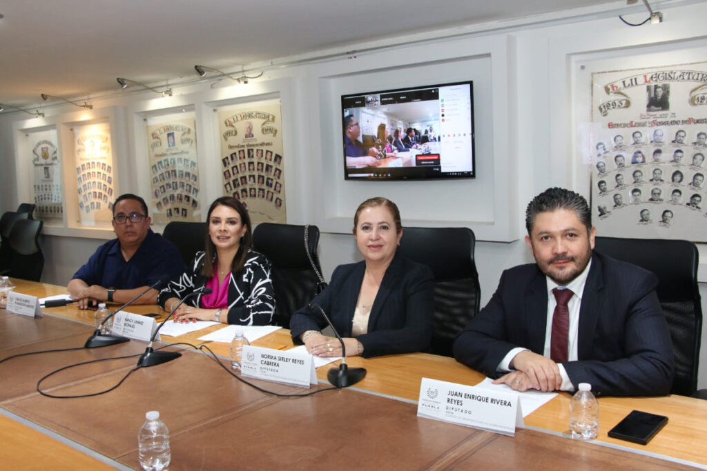 Comision de Organizaciones no Gubernamentales 1