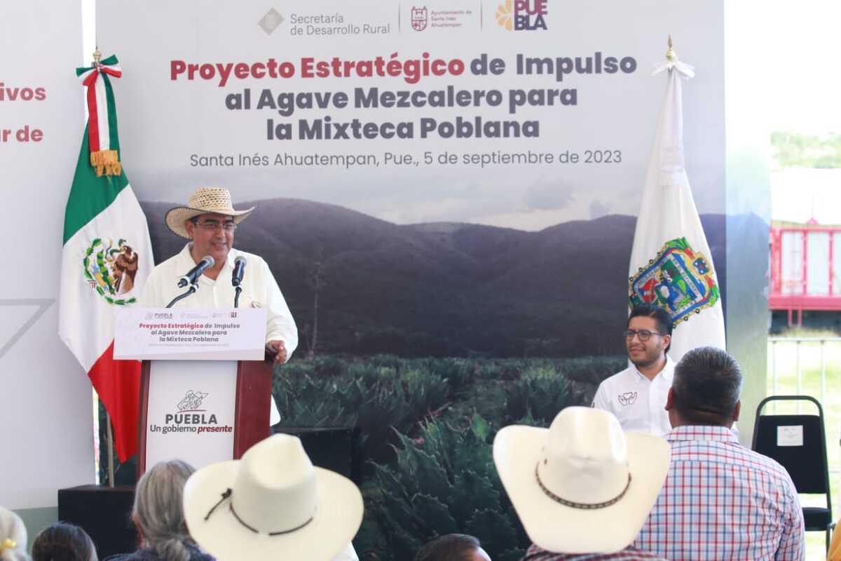 Con acciones del programa “Impulso al Agave Mezcalero”, gobierno detona desarrollo de la Mixteca 2 Sergio Salomon impulso a la mixteca poblana 1