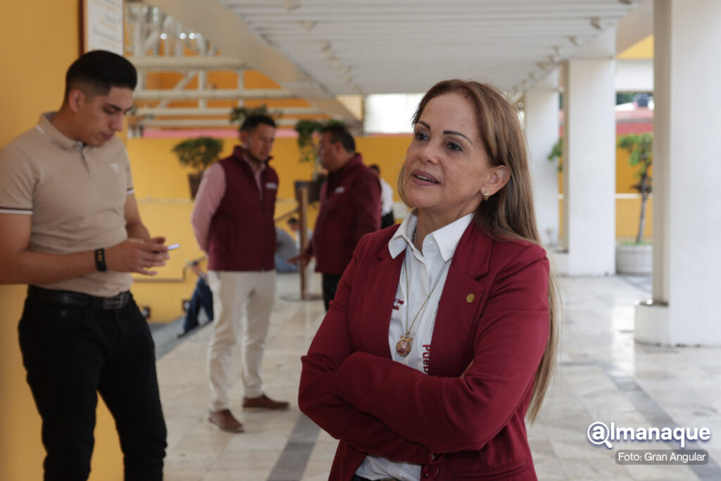 Sesion del Consejo Estatal de Morena
