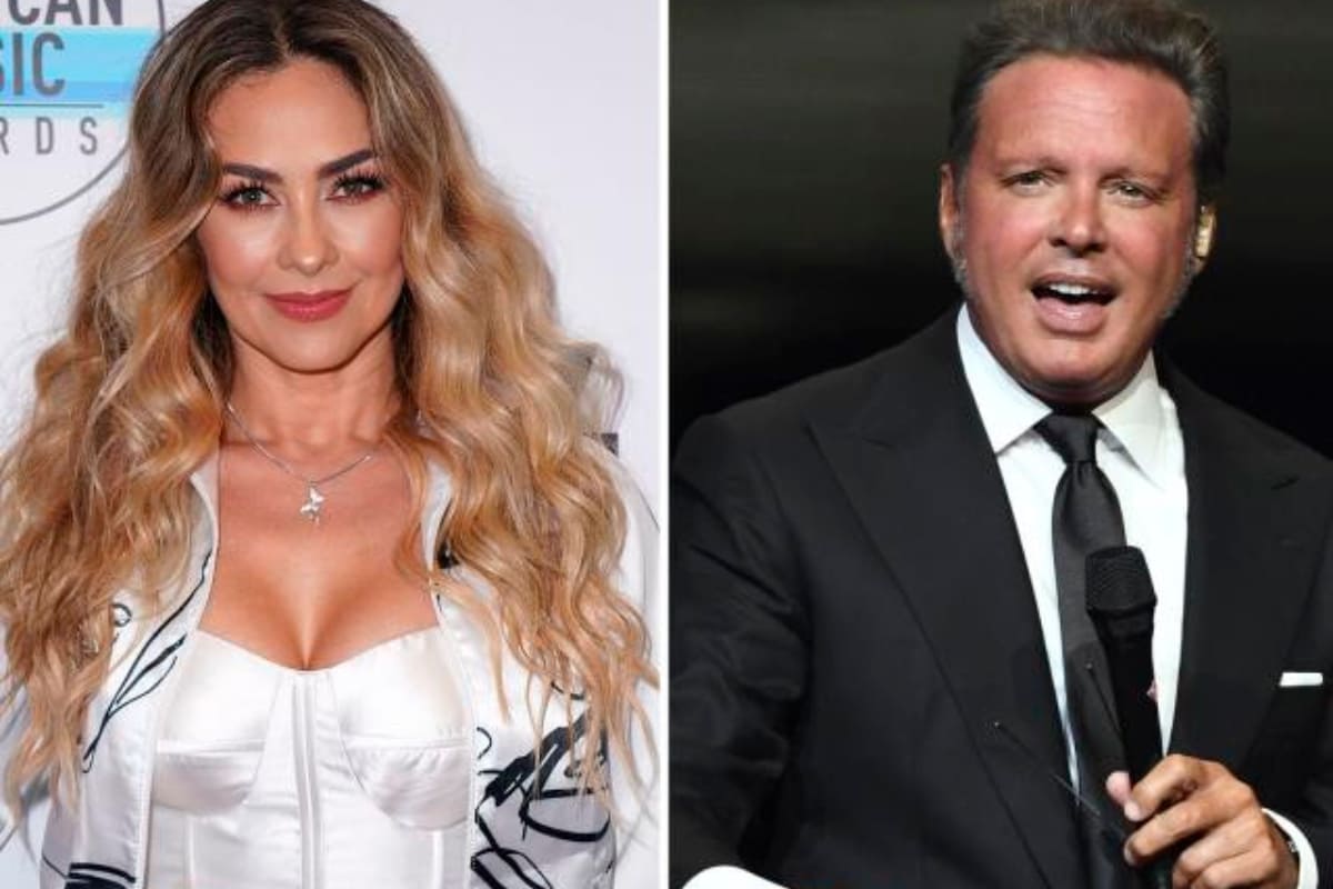 Aracely Arámbula acusa a Luis Miguel de no pagar manutención de sus hijos 3 Aracely Arámbula acusa a Luis Miguel de no pagar manutención de sus hijos