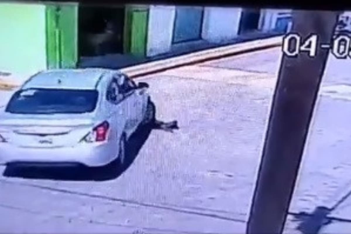 VIDEO: Automovilista atropella a perrito en Piaxtla 3 VIDEO: Automovilista atropella a perrito en Piaxtla