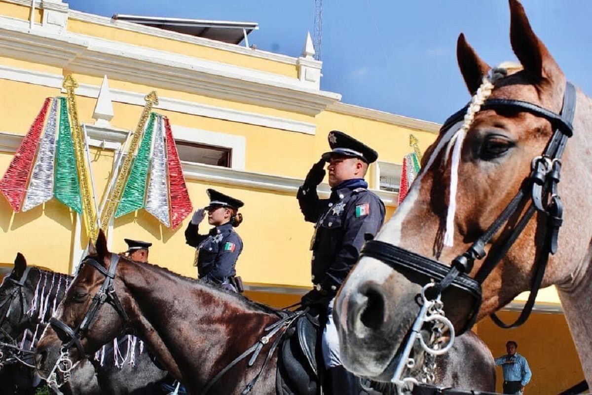 bc35404a 7eb7 4439 82f9 a506bbaa95ea