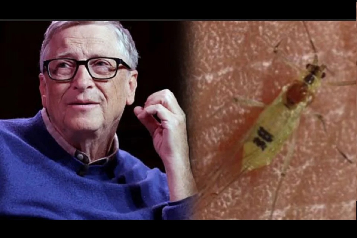 ¿Qué onda con los mosquitos con número de serie? La verdad detrás del video viral de TikTok 4 bill gates mosquitos