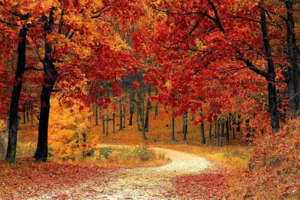 Equinoccio de Otoño 2023: Qué es y cuándo comienza