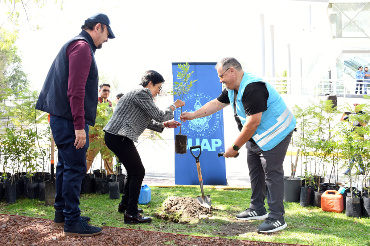 Inaugura la Rectora Lilia Cedillo el Maratón de Reforestación Universitaria 2023 1 maraton de reforestacion 2023 buap 1