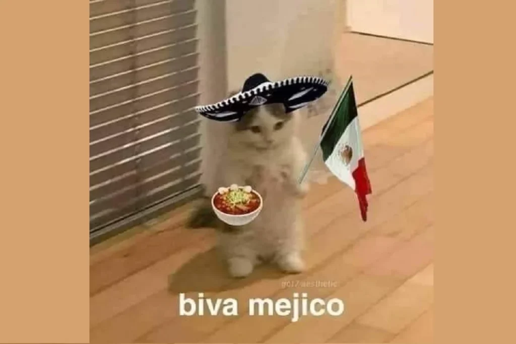 memes septiembre