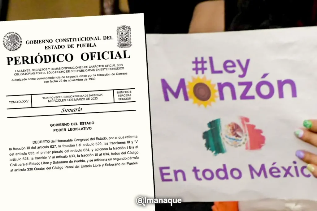 Eduardo Castillo destaca en informe Legislativo aprobación de Ley Monzón, Violencia Ácida y reformas al Poder Judicial 9 portada ley monzon puebla decreto