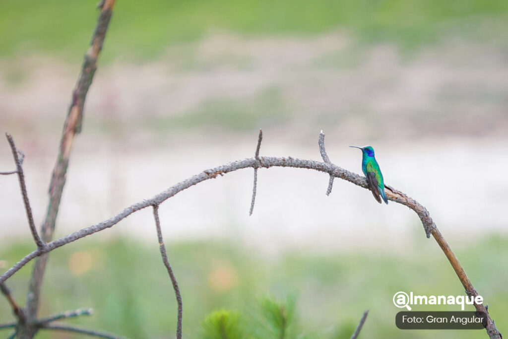 santuario del colibri 2