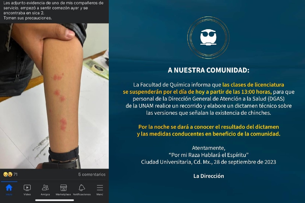 Cierran la facultad de Química de la UNAM por plaga de chinches 1 unam chinches
