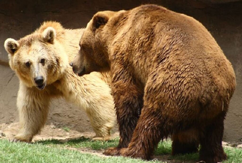 zoologico de chapultepec