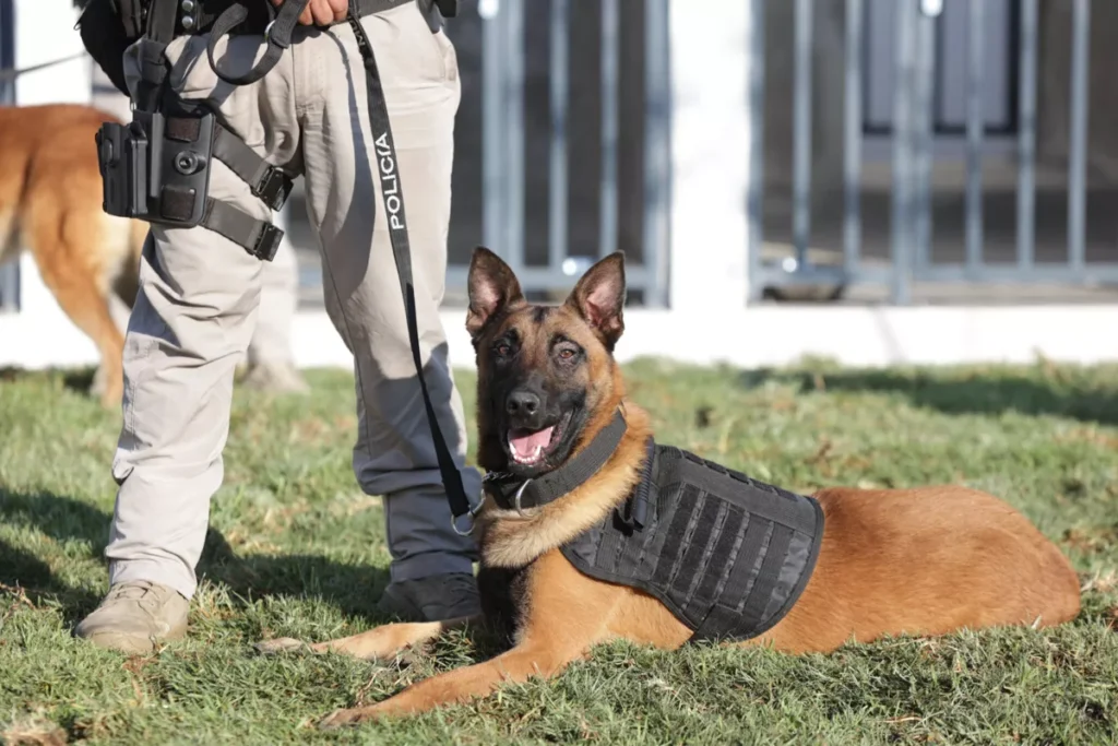 Eduardo Rivera Inauguracion Unidad Canina 5