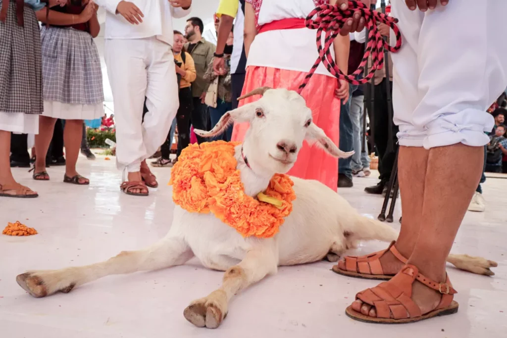 Mole de Caderas uno de los “10 mejores platillos” de Mexico: Sergio Salomón inaugura temporada 31 Gobernador Sergio Salomon Inauguracion Temporada de Mole de Caderas 9