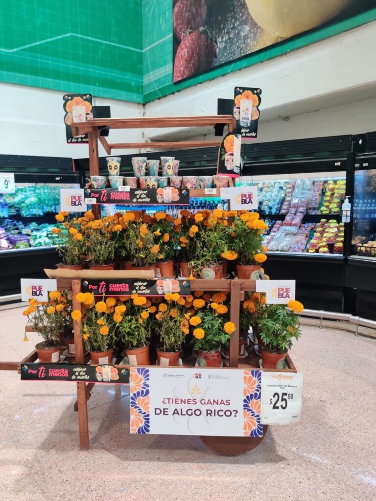 Tiendas Chedraui venderán flor de cempasúchil de Puebla 18 Tiendas Chedraui venderán flor de cempasúchil de Puebla