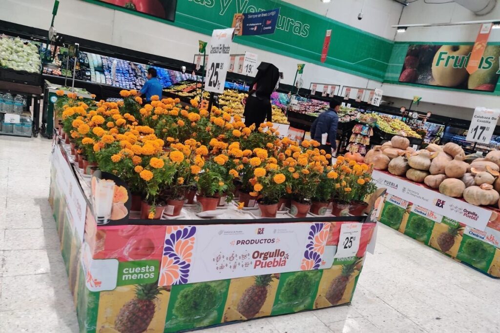 Tiendas Chedraui venderán flor de cempasúchil de Puebla