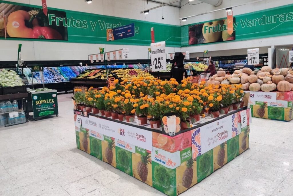 Tiendas Chedraui venderán flor de cempasúchil de Puebla 20 Tiendas Chedraui venderán flor de cempasúchil de Puebla