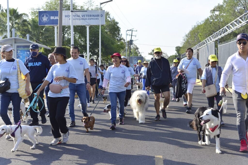 buap ciudad universitaria pet friendly